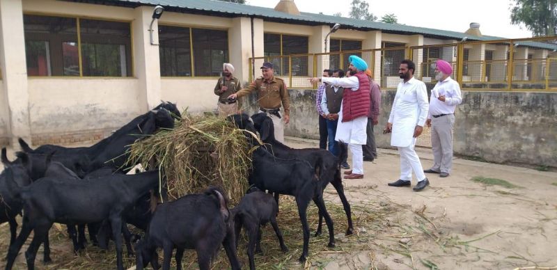 Animal Husbandry minister had paid a sudden visit to Mattewara Animal Husbandry farm