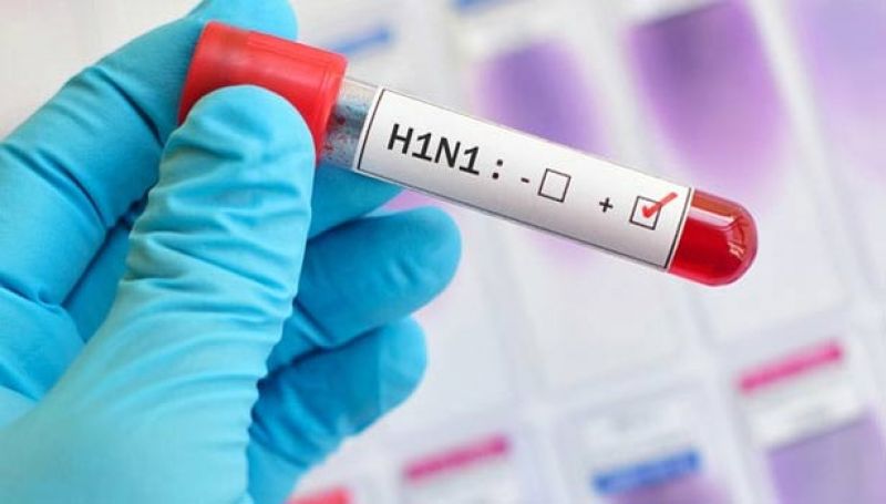 Swine flu cases in Delhi mount to 1,965