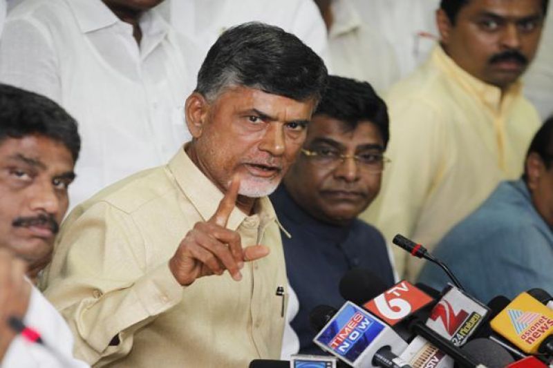 Andhra Pradesh Chief Minister and TDP president N Chandrababu Naidu