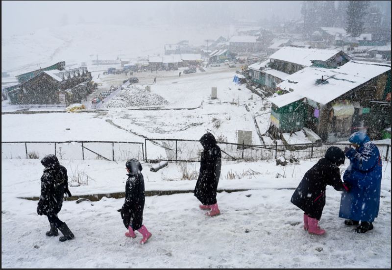 Bharat Kumar through Studio Ghibli-style illustrations