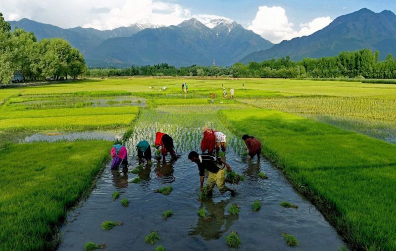 Pradhan Mantri Krishi Sinchai Yojana