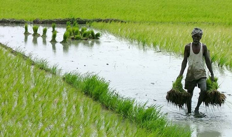 MSP of Kharif crops hiked