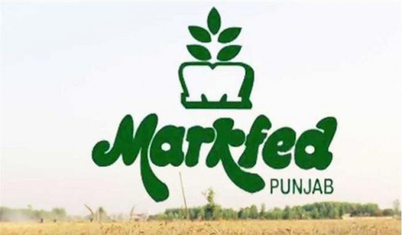 Markfed Punjab