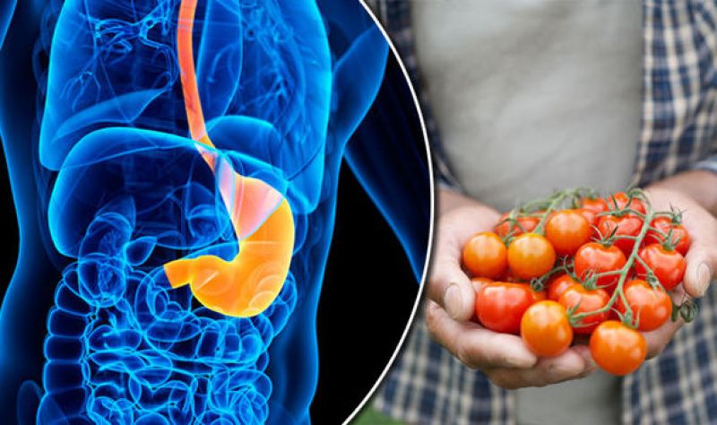 Tomato extracts can fight stomach cancer: study