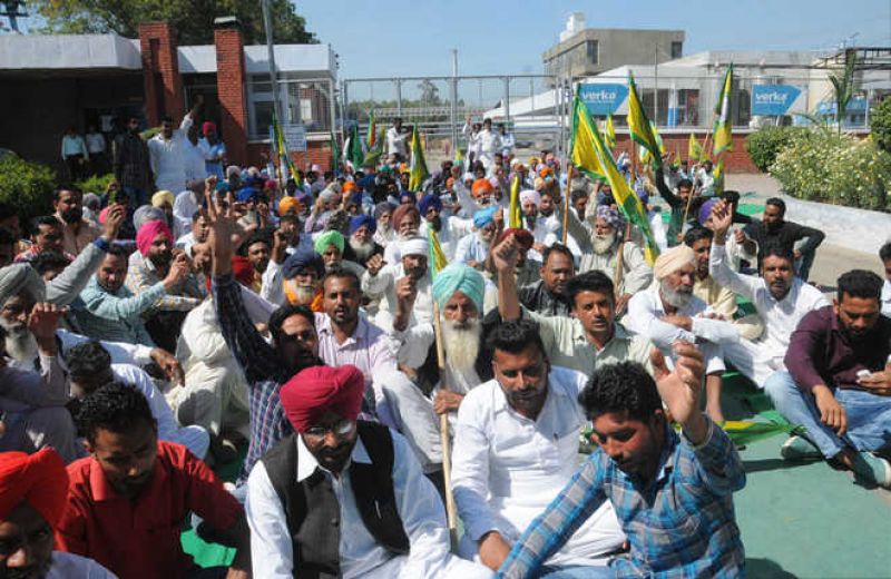 Farmers protesting outside the entry gate of Verka milk plant, Mohali