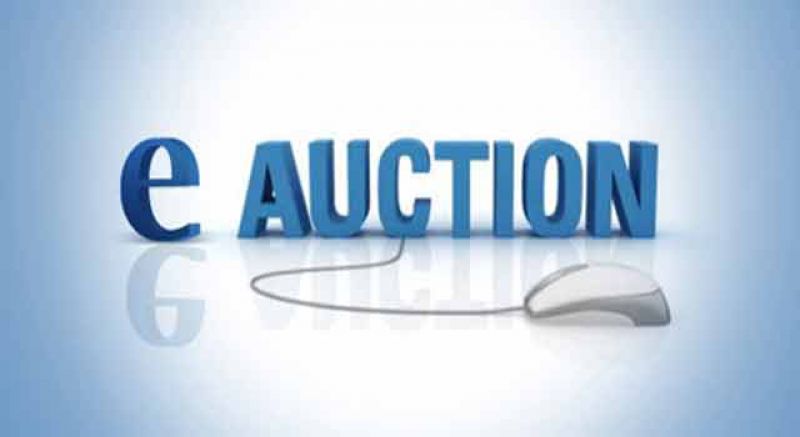 e-auction of NPA's