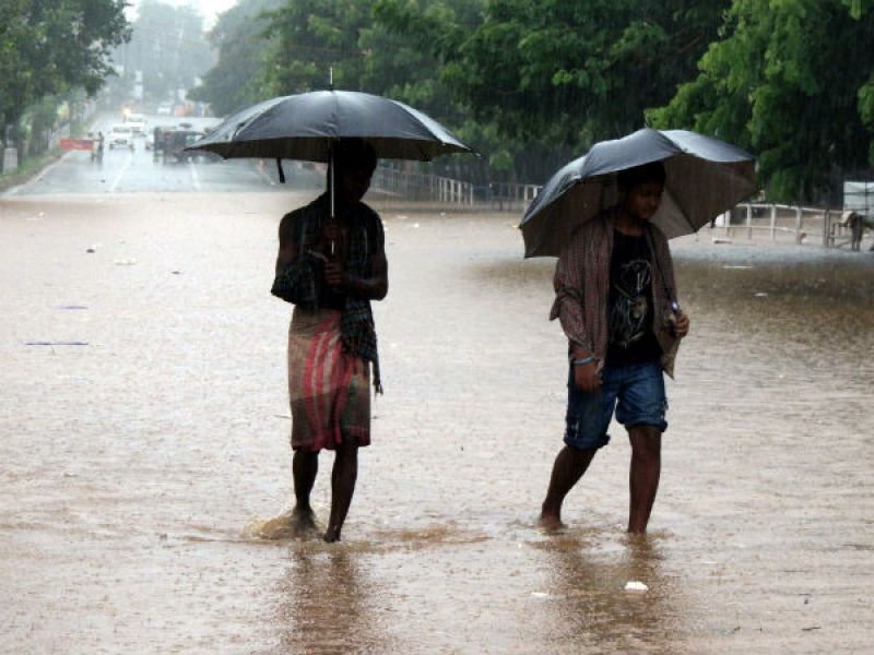 Moderate rain and thundershower are likely to occur at most places