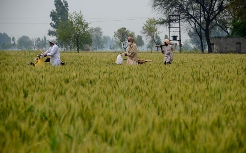 Jumla Budget a Mockery of Farmers