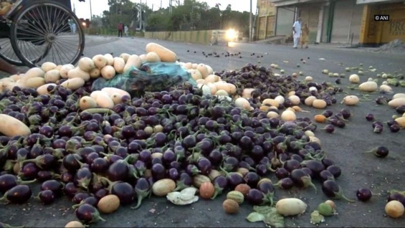 Some farmers even threw vegetables and milk on road
