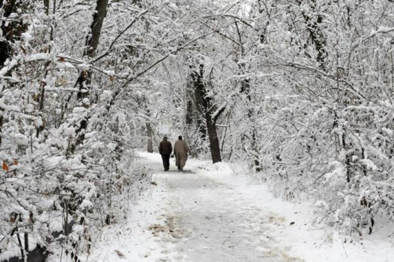 Gulmarg in north Kashmir recorded 29 cms of snow