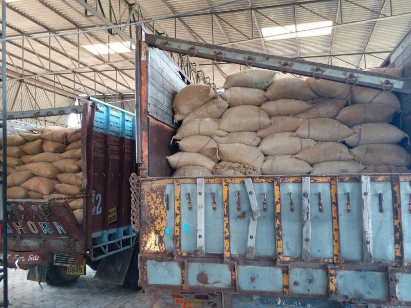 Strict action to be initiated against millers guilty of fictitious billing
