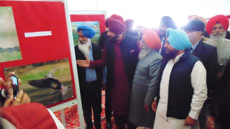 Rs. 150 crore for harnessing potential of Harike alone, says minister 