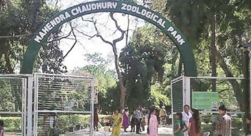 Chhatbir Zoo