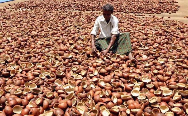 Copra slips on reduced demand