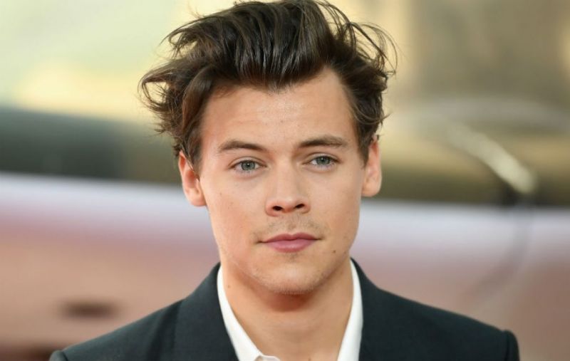  Harry Styles