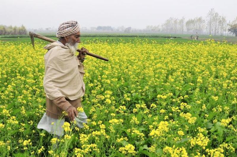 PM Kissan Samman Nidhi scheme