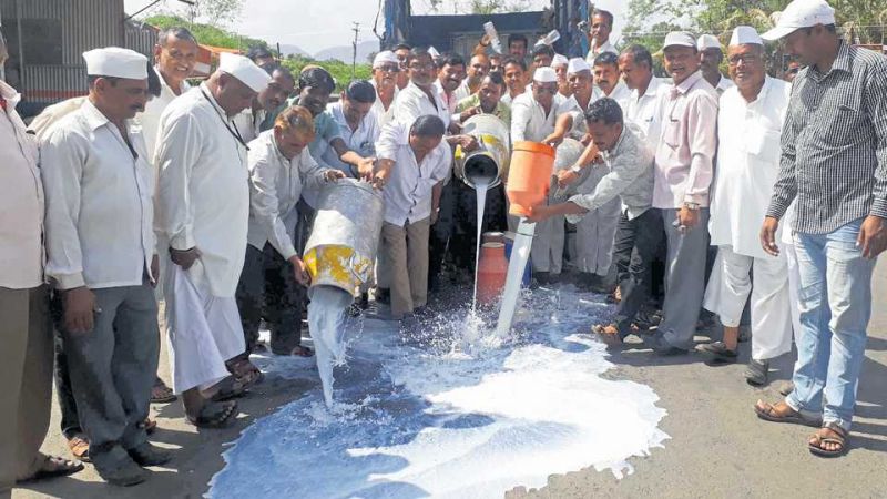 'Maha milk protest