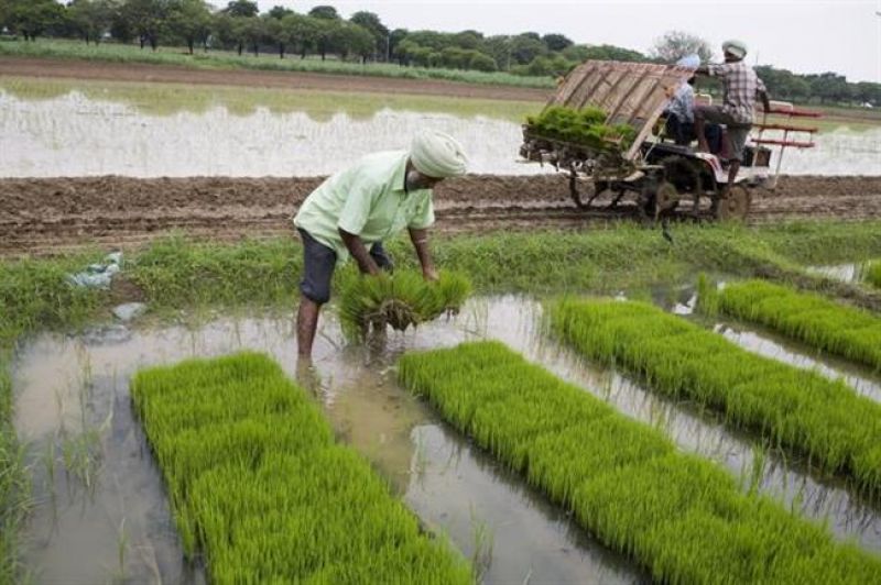 Rotational irrigation programme for kharif season