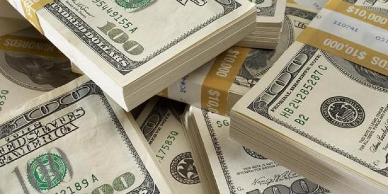 Foreign portfolio investors