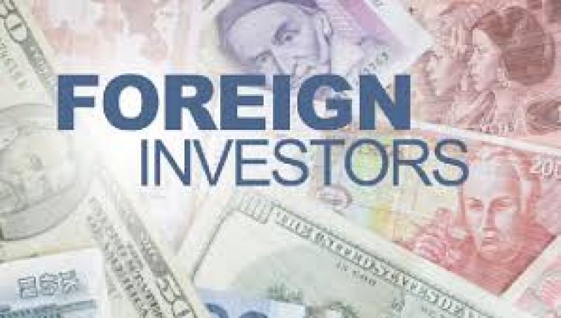 Foreign portfolio investors
