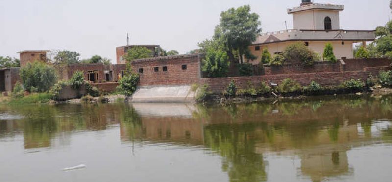 Village Ponds