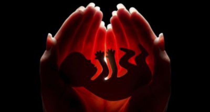 Foetuses were thrown in a forest area after an illegal abortion: Residents