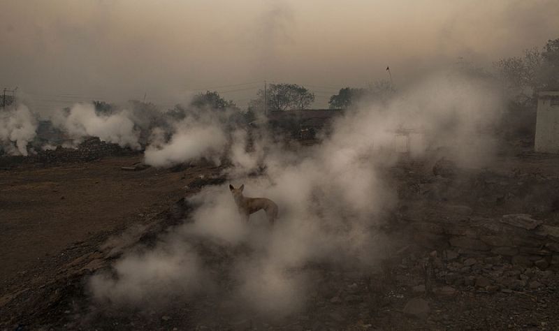 Delhi authorities have stepped up efforts to combat pollution