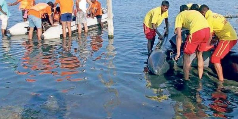 ODRAF and fire brigade engaged in rescue operation in Chilika Lake