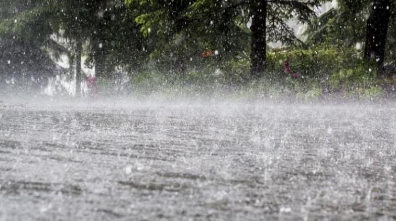 Rain