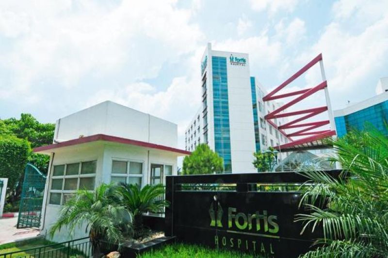 Fortis picks IHH to takeover hospital chain