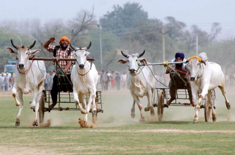 Kila Raipur Rural Sports