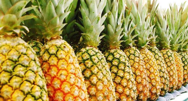  'Queen' variety of pineapple as the state fruit