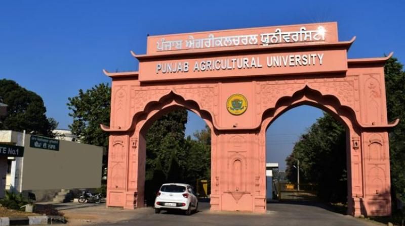 Punjab Agricultural University