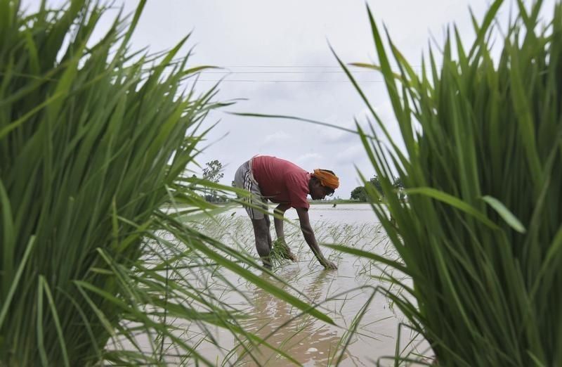 Irrigation