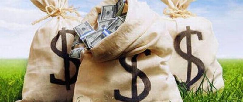Foreign portfolio investors