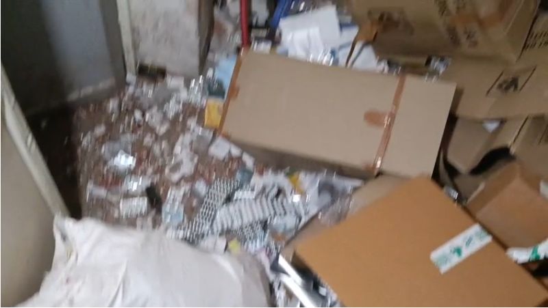 Bharat Kumar through Studio Ghibli-style illustrations