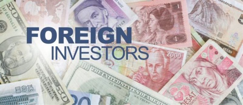 Foreign portfolio investors