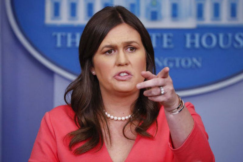  Sanders