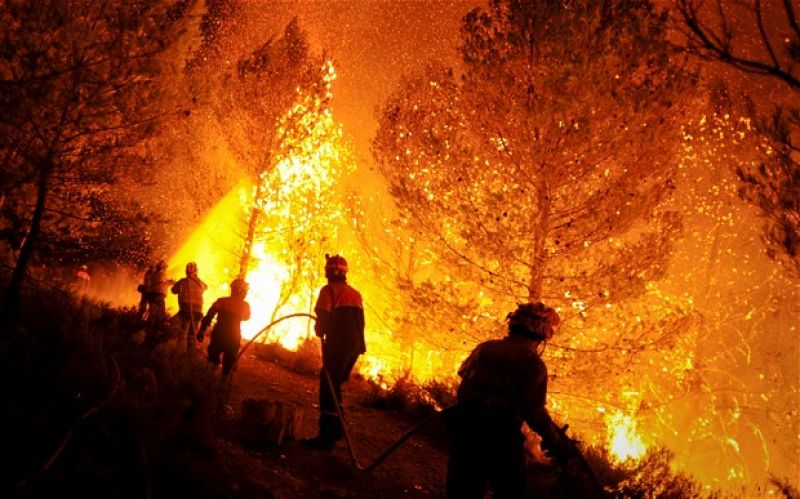 NGT directs hill states to file report on forest fires
