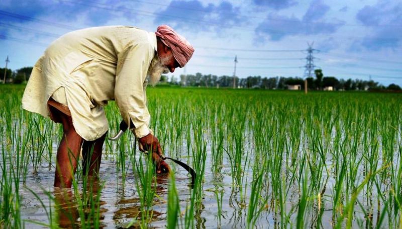 Farmers were spending money on diesel to lift water from the canal