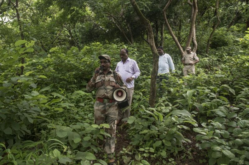 Reserved forest areas