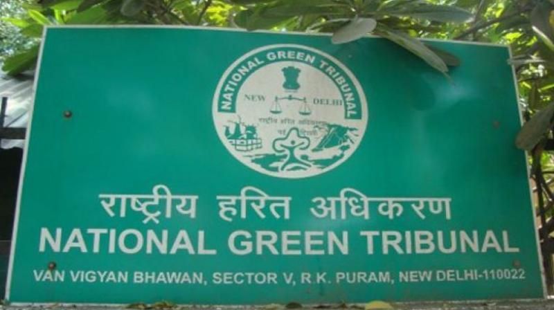 National Green Tribunal