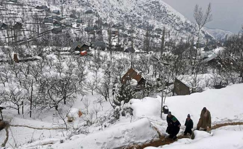 Kashmir continues to reel under intense cold