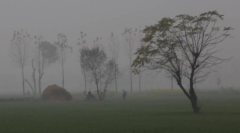 Punjab and Haryana braved cold weather 
