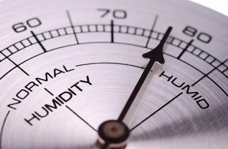 Humidity level recorded at 8.30 am was 79 per cent