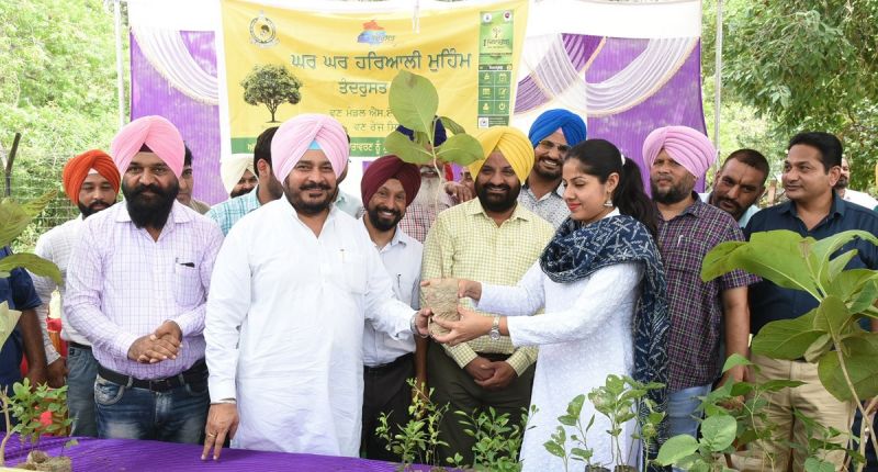 Dharmsot urged the people of the state to prefer planting and distributing plants on birthdays or functions