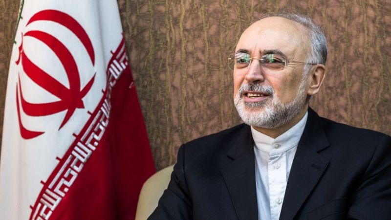 Vice President Ali Akbar Salehi