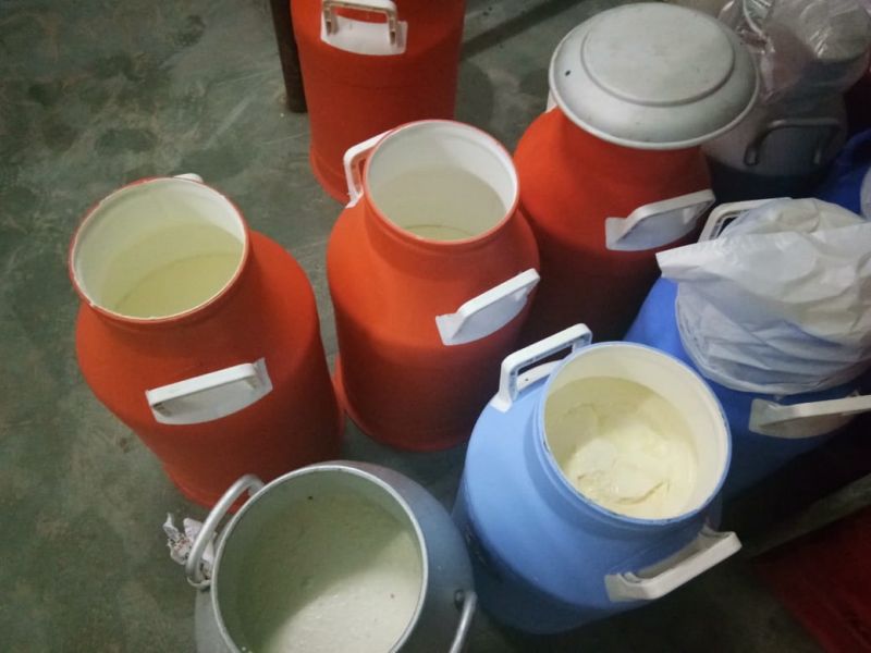 skimmed milk powder was seized by the food safety team