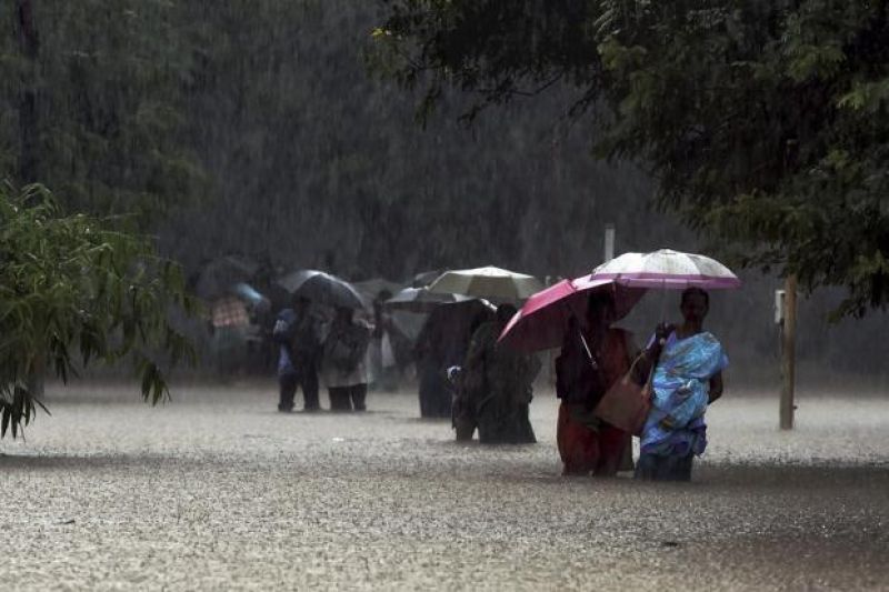 Light to moderate rain or thundershower is likely to occur