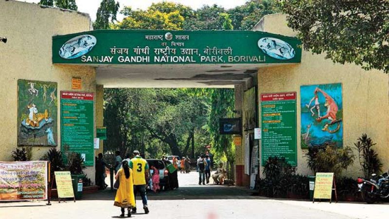 Sanjay Gandhi National Park